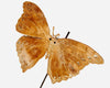 VELVET BUTTERFLY CLIP GOLD 15CM - X3442GO (Box of 24pcs)