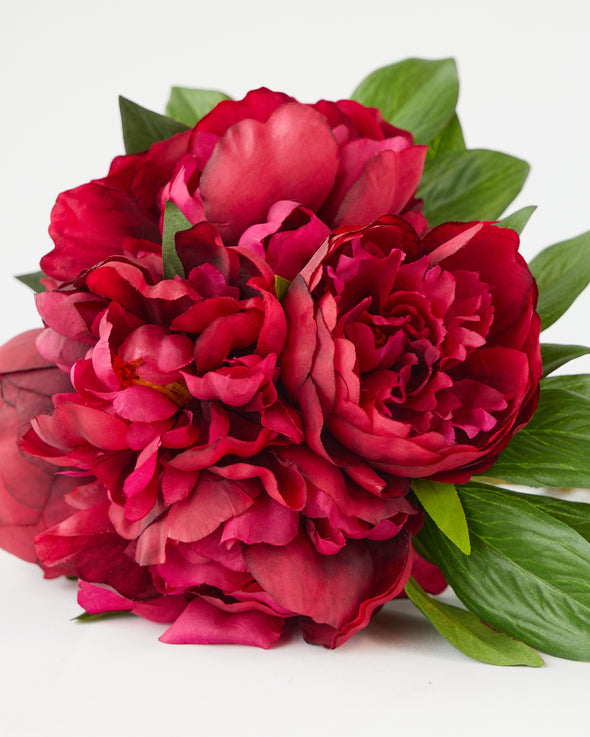 PEONY BUNDLE X 5 BURGUNDY - 3940BU  (Box of 12)