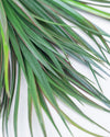 PLASTIC WATER GRASS BUSH GREEN RED 47CM - 6047 (Box of 12)
