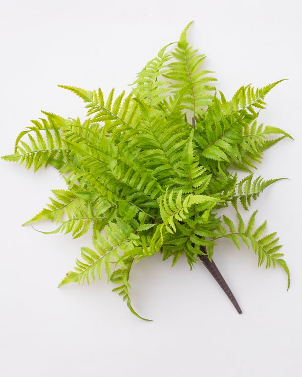 FOREST FERN BUSH OUTDOOR LARGE 50CM - 6059 (Box of 6)