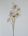 MINI PEACH BLOSSOM PINK
