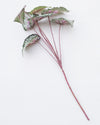 BEGONIA LEAVES SPRAY GREEN RED 60CM - 6544GRRD (Box of 12)