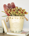 LEUCADENDRON SPRAY FLOCKED RED/GREEN - 6672 (Box of 12)