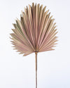 NATURAL FAN PALM PINK 120CM - 6832PK  (Box of 12)
