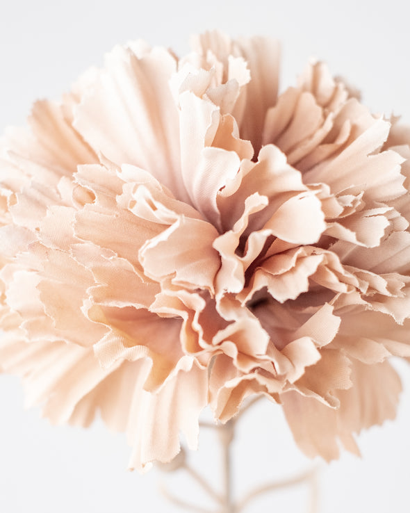 SINGLE CARNATION BROWN 65CM - 6904BR (Box of 12)