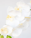 PHALAENOPSIS ORCHID WHITE 69CM - 6912WH (Box of 12)
