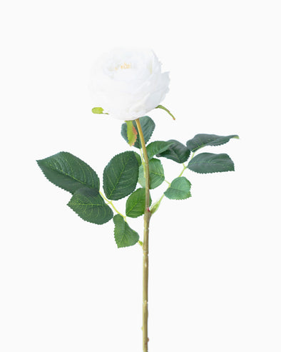 ROSE STEM REAL TOUCH WHITE 59cm - 6971WH (Box of 24)