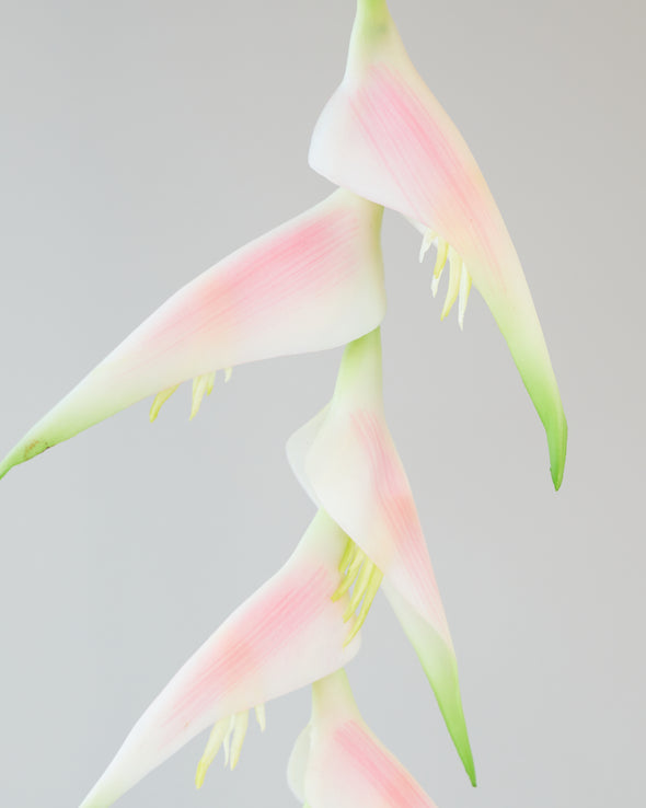 HANGING HELICONIA STEM LIGHT PINK 96CM - 7024LTPK (Box of 12)