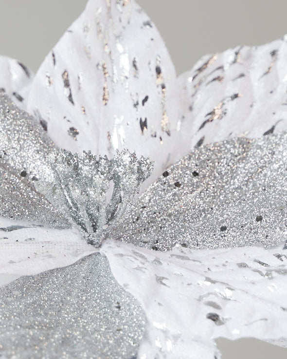 POINSETTIA WHITE SILVER 30cm - X2087WHSL (Box of 48)